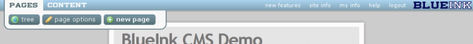 BlueInk CMS interface
